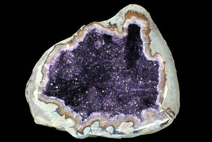 Sparkling Amethyst Geode ( lbs) - Top Quality! #80882